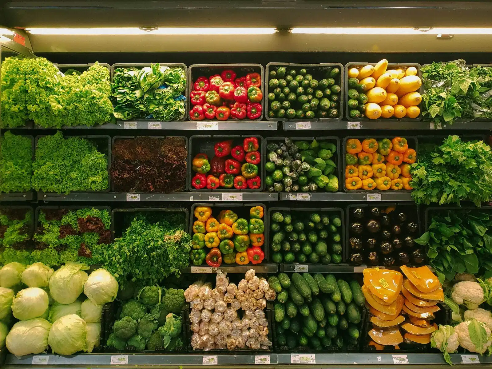 Food & Agriculture